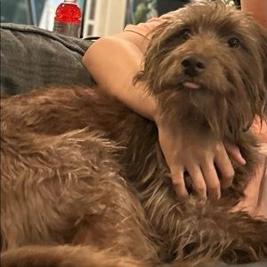 Meet your Posher, Ju